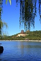 The Summer Palace